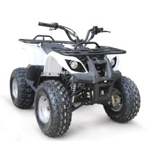 QUAD ГОНОЧНЫЙ EPA ATV 110CC